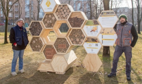 BEE HOTEL_Mantova.jpg