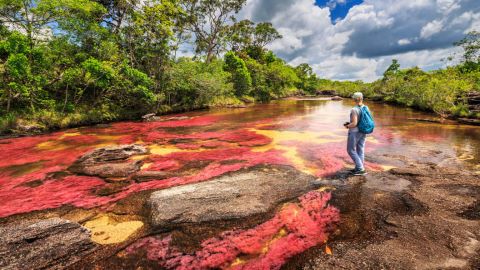 Caño Cristales_welovemercuri.jpg