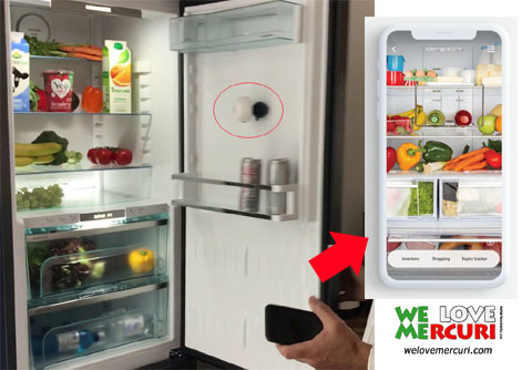 FridgeCam_welovemercuri.jpg