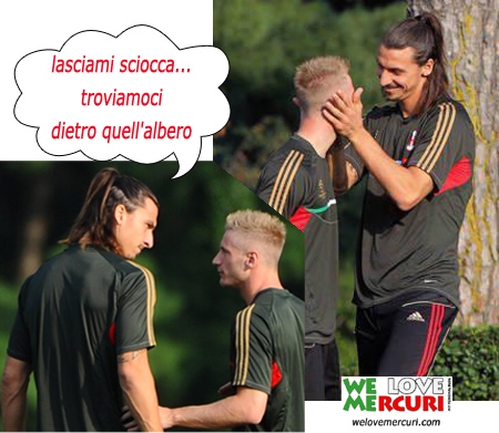 IBRA-ABATE.jpg