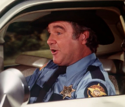 James Best_RIP_Rosco_P_Coltrain.jpg