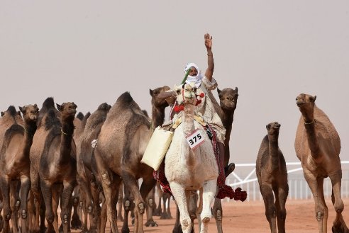 King Abdulaziz Camel Festival_welovemercuri.jpg