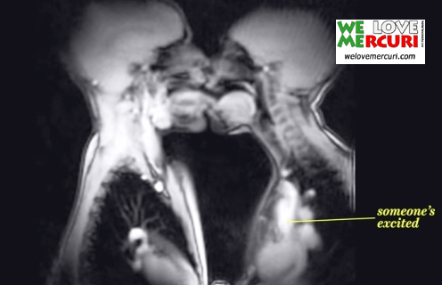 Magnetic Resonance Imaging_welovemercuri.jpg