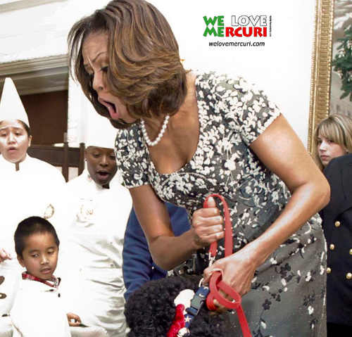 Michele Obama_OVOLOLLO.jpg