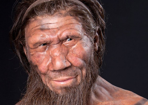 Neanderthal_Romani.jpg