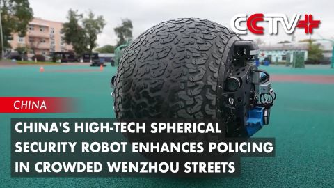 RT-G_robot_sferico_cina_welovemercuri.jpg