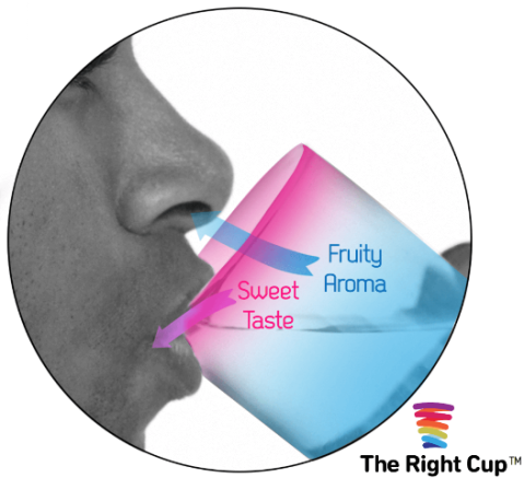 The Right Cup (il bicchiere ingannevole).png