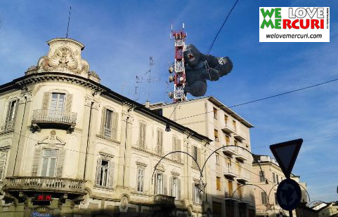 Vogliamo un King Kong Bicciolano_welovemercuri_vercelli.jpg