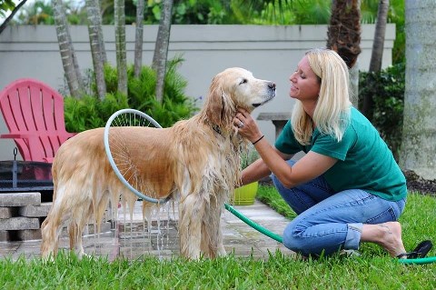 Woof Washer 360_welovemercuri.jpg