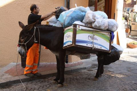 asini-raccolta_differenziata_welovemercuri.jpg