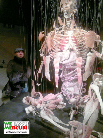 bodyworld_milano_welovemercuri.jpg