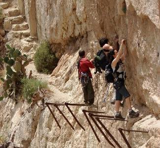 camino_rey.jpg