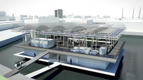 floating farm_Rotterdam_Ansa.jpg