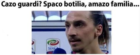 ibra_.jpg