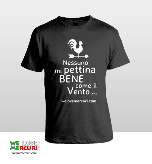 idea-tshirt_welovemercuri.jpg