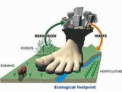 impronta ecologica.jpg