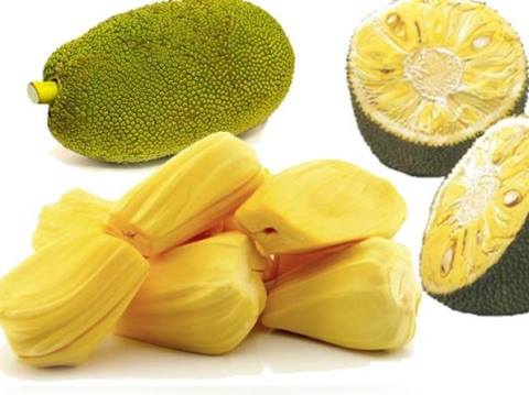 jackfruit_giaca_welovemercuri.jpg