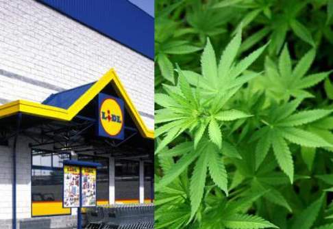 lidl_marijuana_welovemercuri.jpg