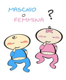 maschio_femmina.jpg