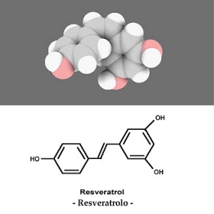 resveratrolo-resveratrol.jpg