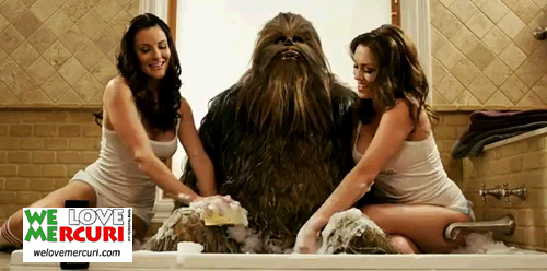 sexy_wash_Chewbacca_welovemercuri.jpg