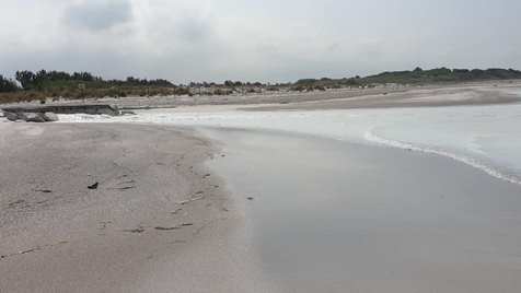 spiagge bianche di Rosignano Solvay_scarico_welovemercuri.jpg