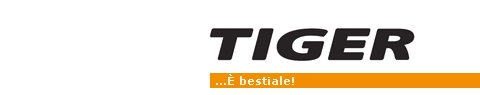 tiger_stores_welovemercuri.jpg