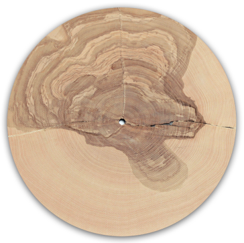 traubeck-years-disco-legno-alberi-musica.jpg