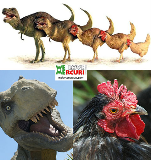 trex_pollo_welovemercuri.jpg