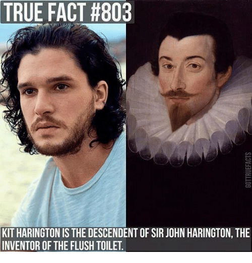 true-fact-803-kit-harington-is-the-descendent-of-sir-24034518.png